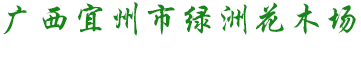 底部LOGO